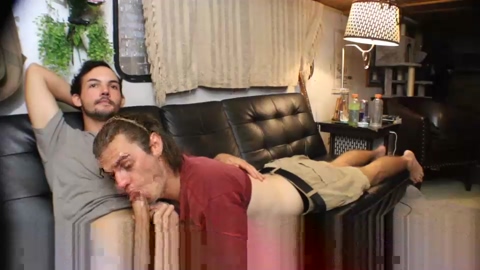 hollandhousestudios  29-07-2022
